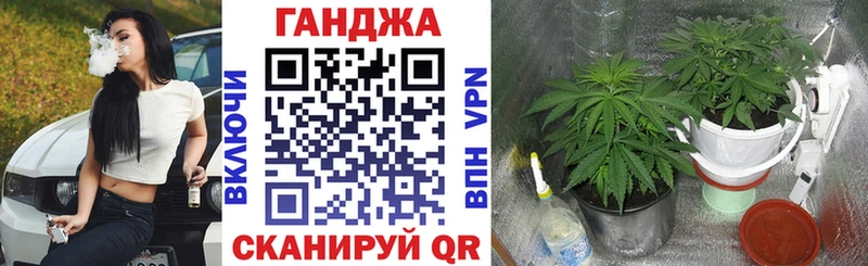 Купить наркотики Далматово Псилоцибиновые грибы omg как зайти Мефедрон Гашиш Конопля
