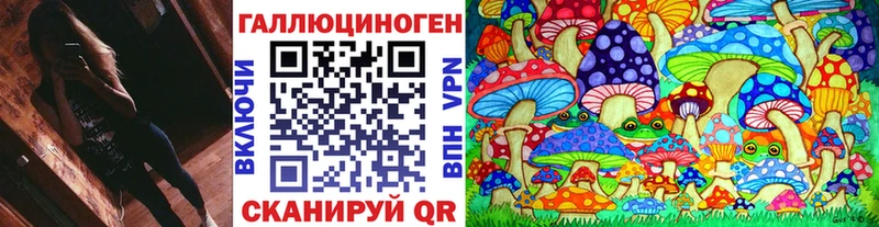 ОМГ ОМГ зеркало  Далматово  Псилоцибиновые грибы GOLDEN TEACHER 
